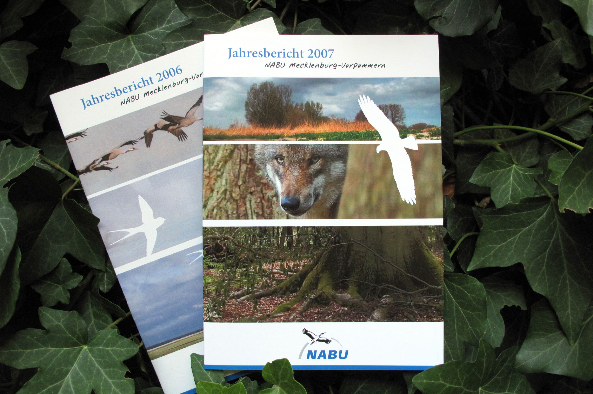 Annual report - cover