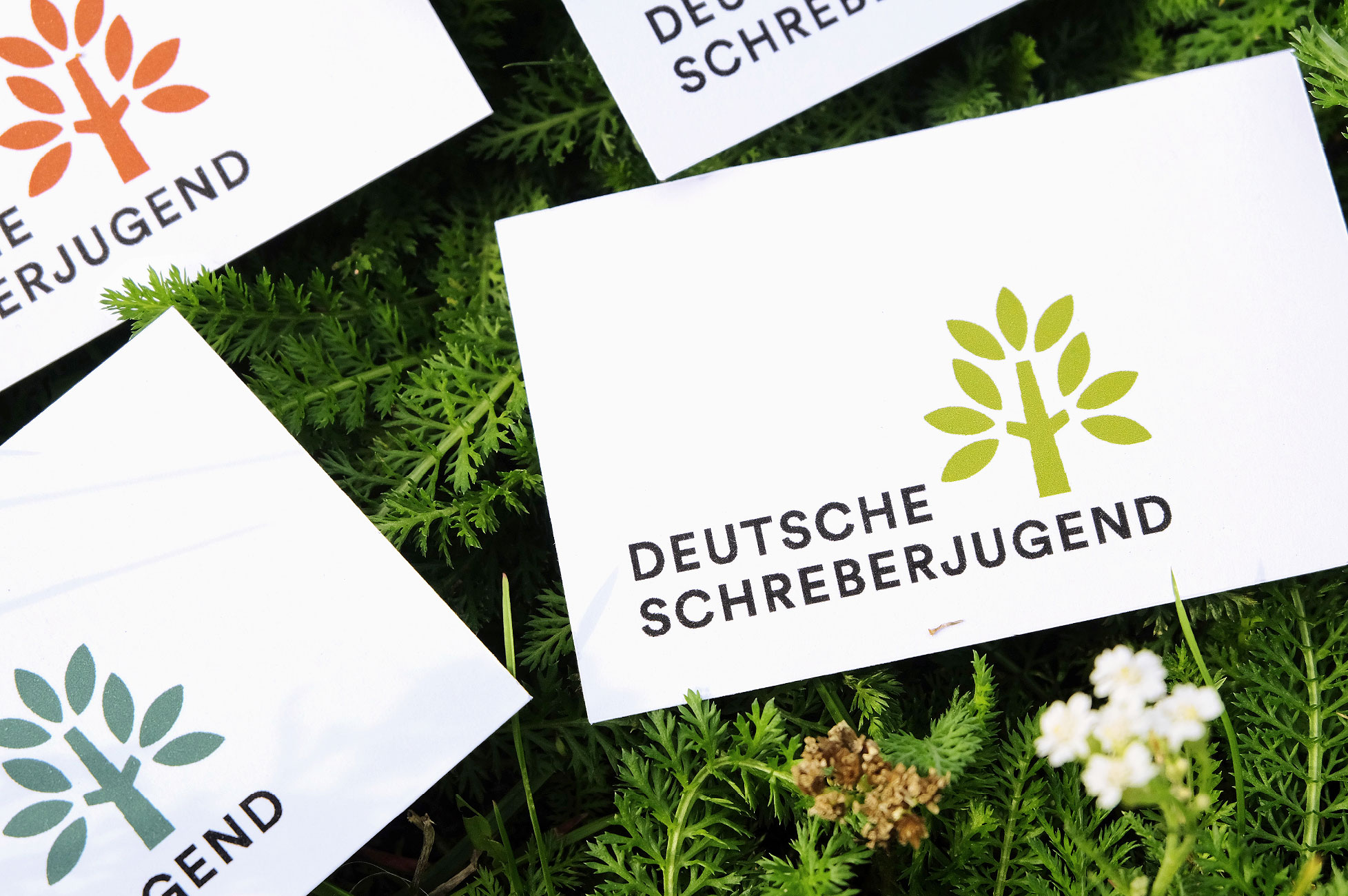Deutsche Schreberjugend – Business cards