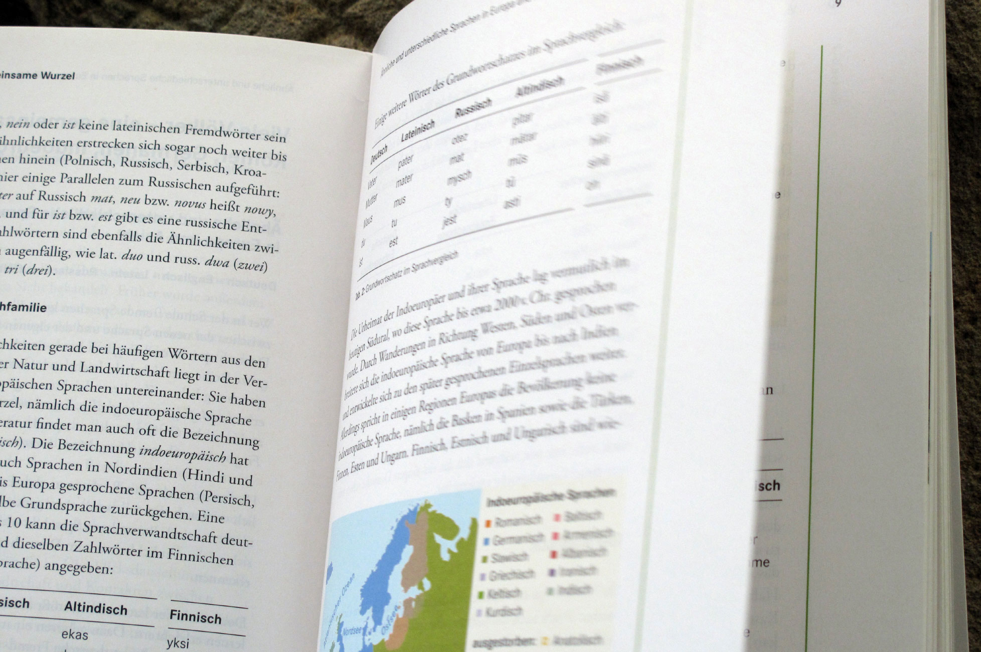 Forum Latein - Innenseiten