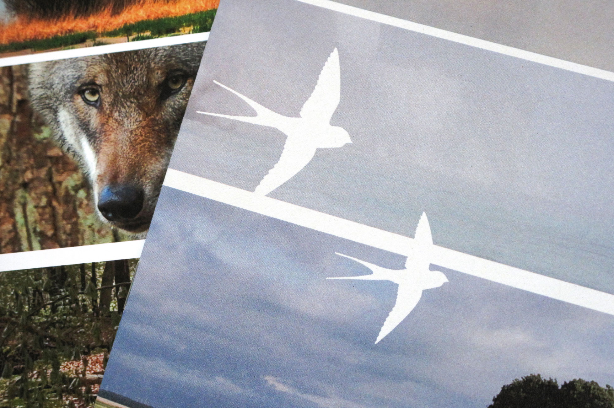 Annual report - cover detail