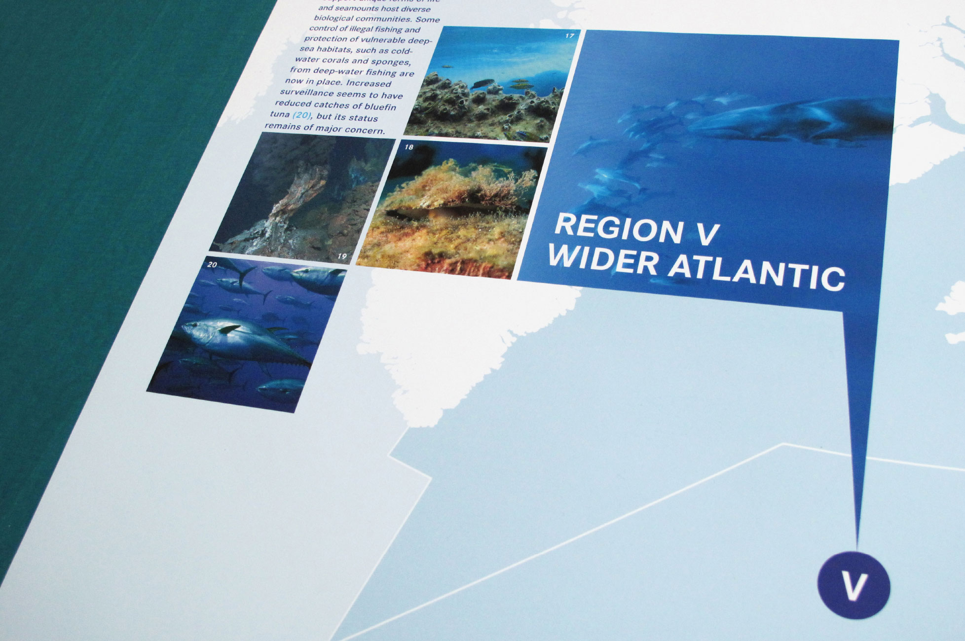 Protecting the North-East Atlantic - Plakat Detail