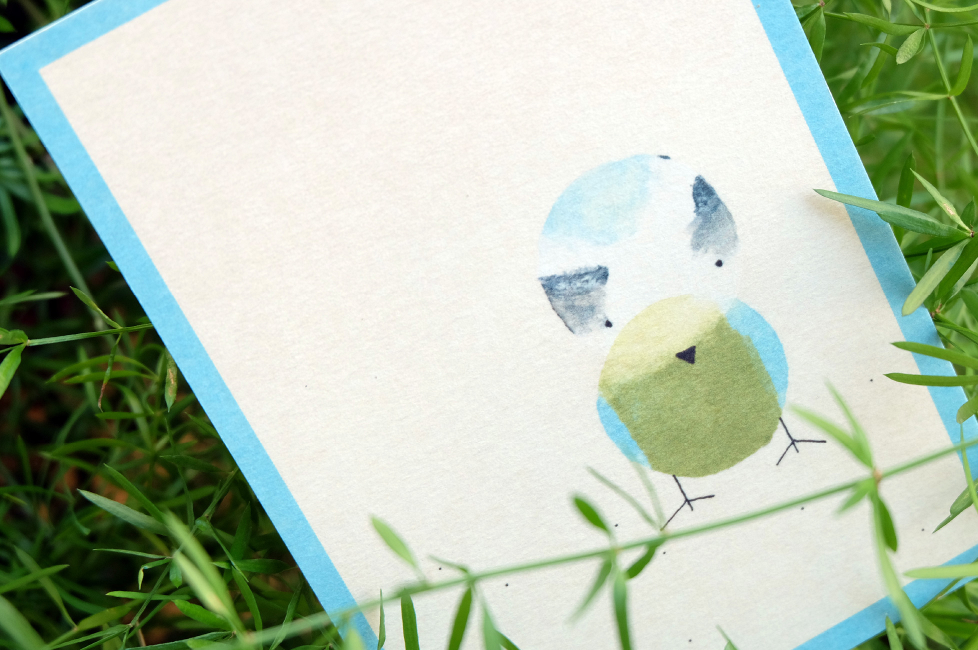 Vogelpostkarten - Blaumeise