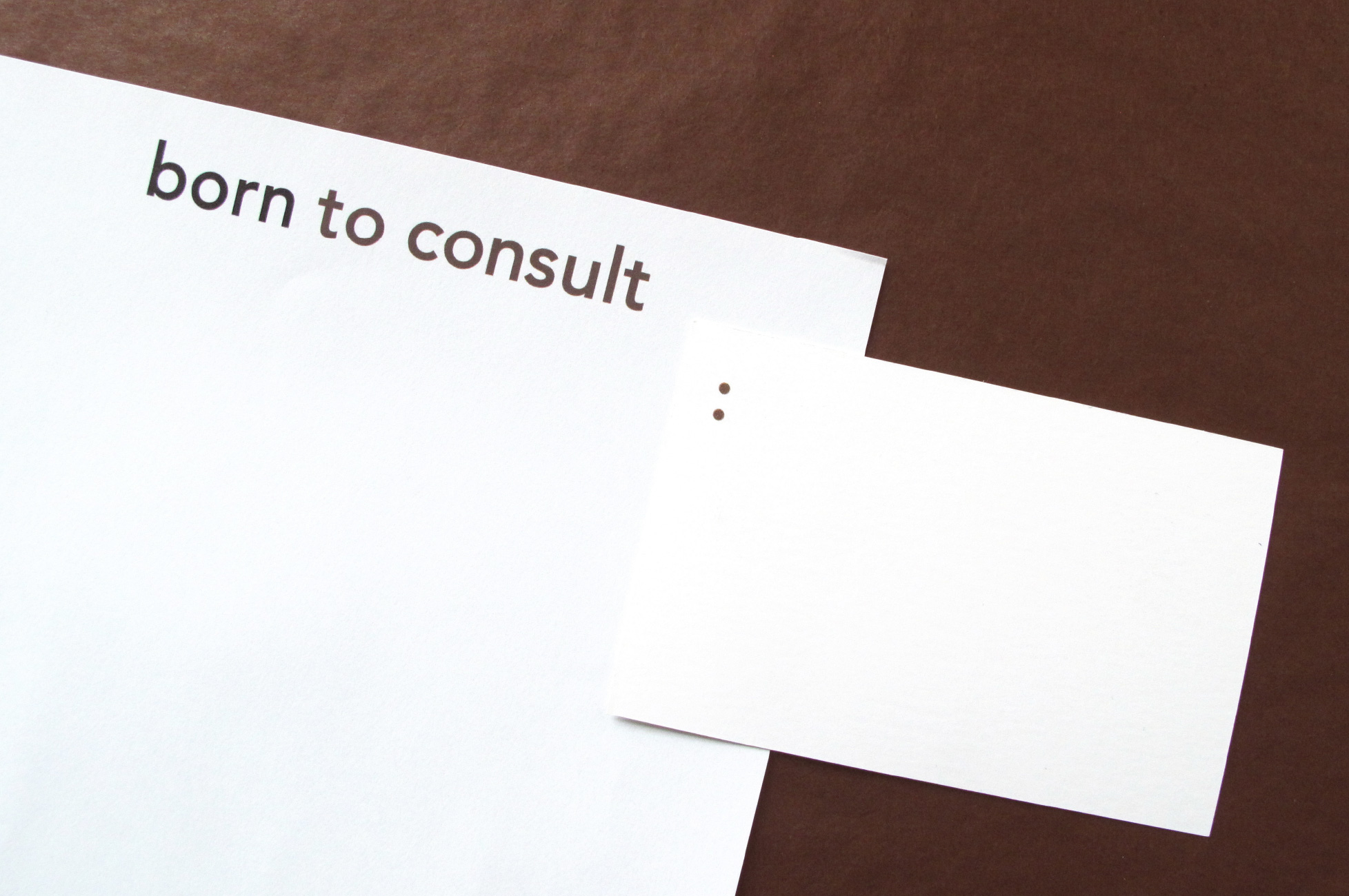 born to consult - logo