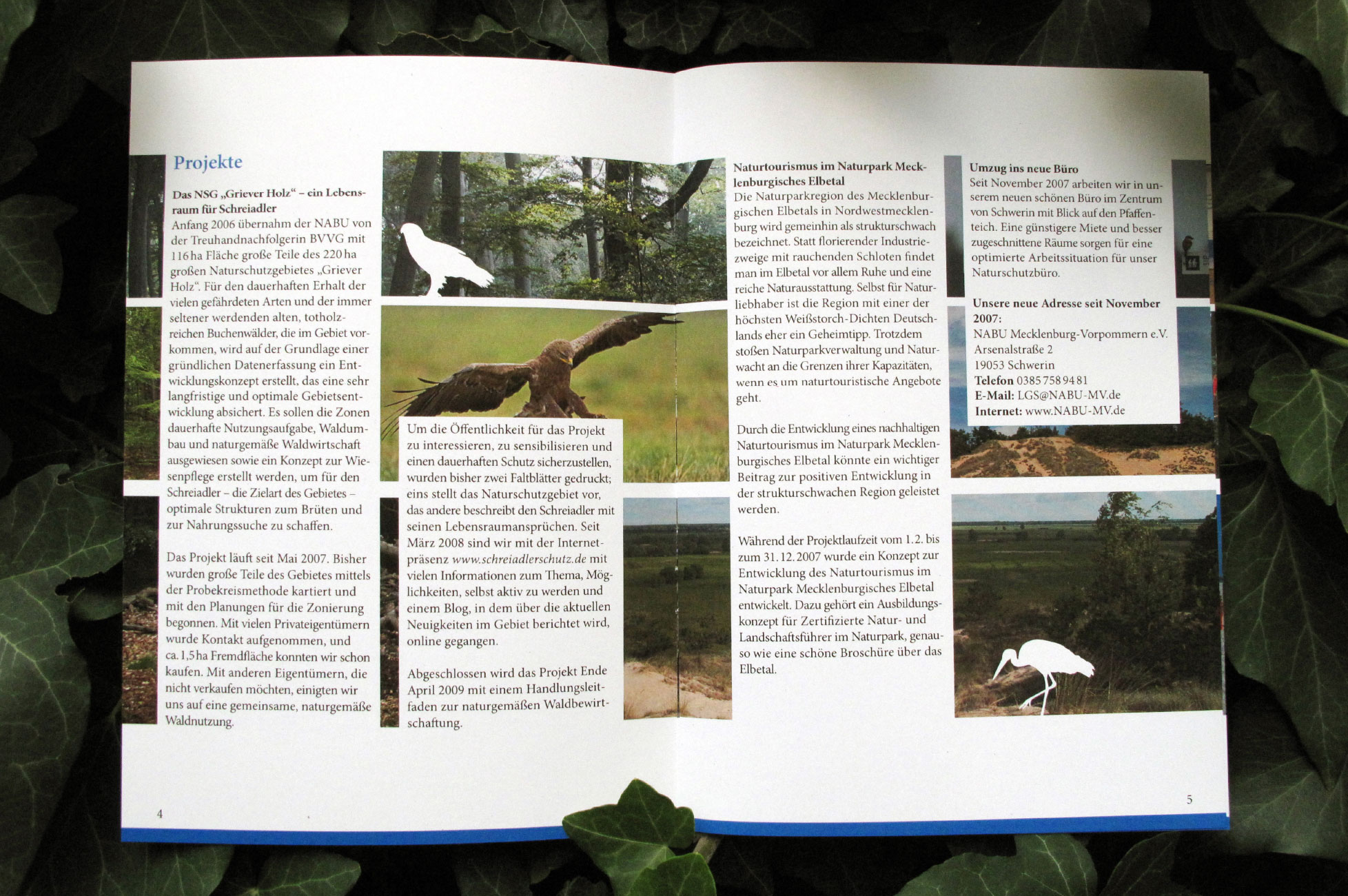 Annual report - inside