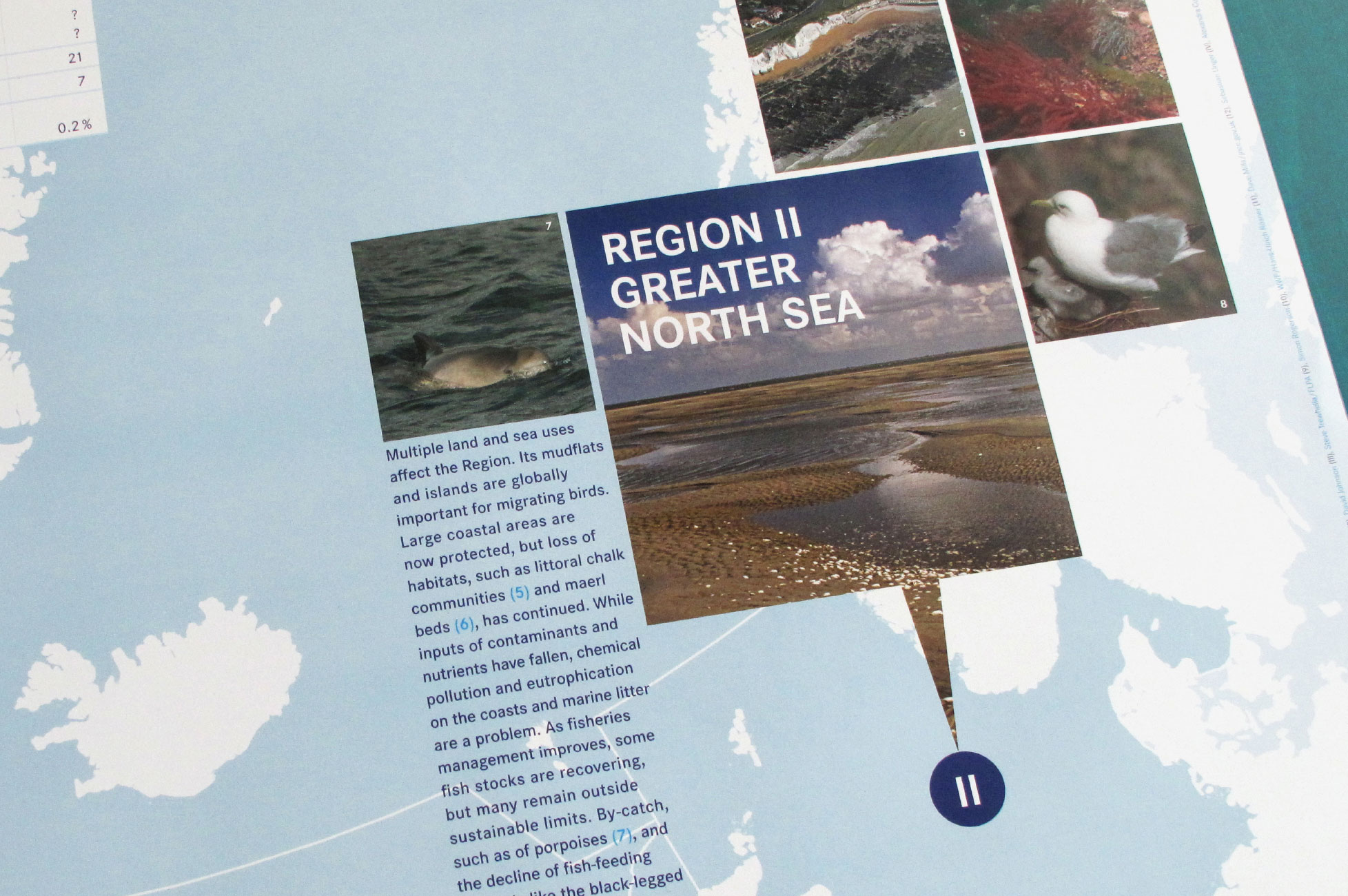 Protecting the North-East Atlantic - Plakat Detail