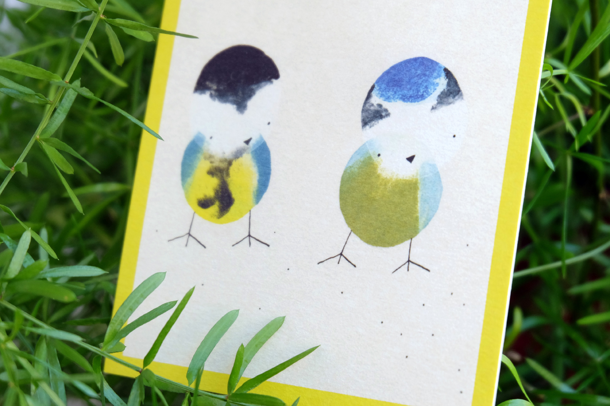 Vogelpostkarten - Kohlmeise und Blaumeise