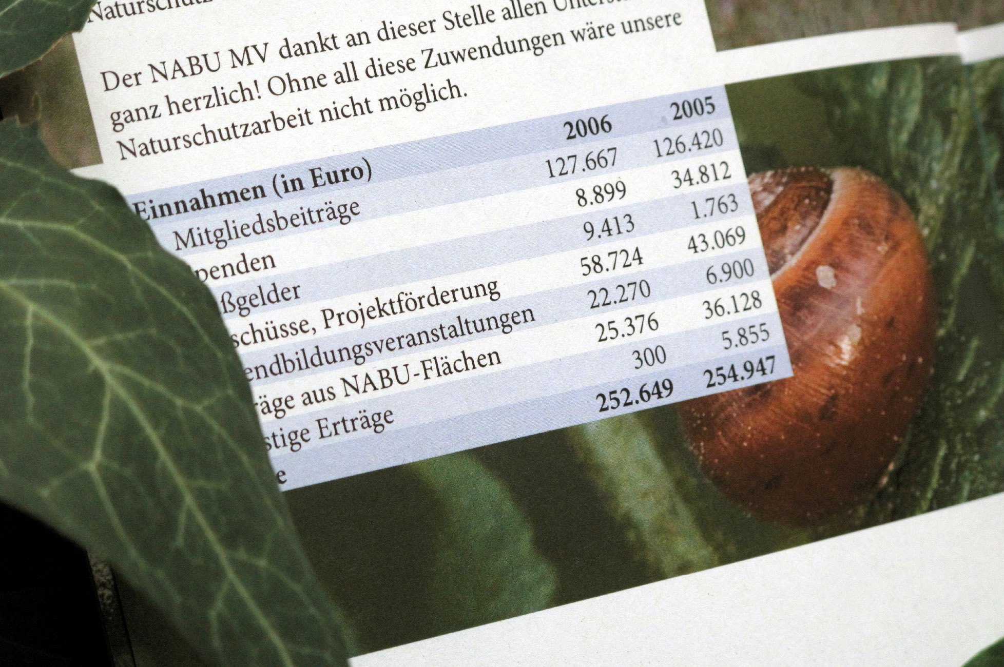 Annual report - charts