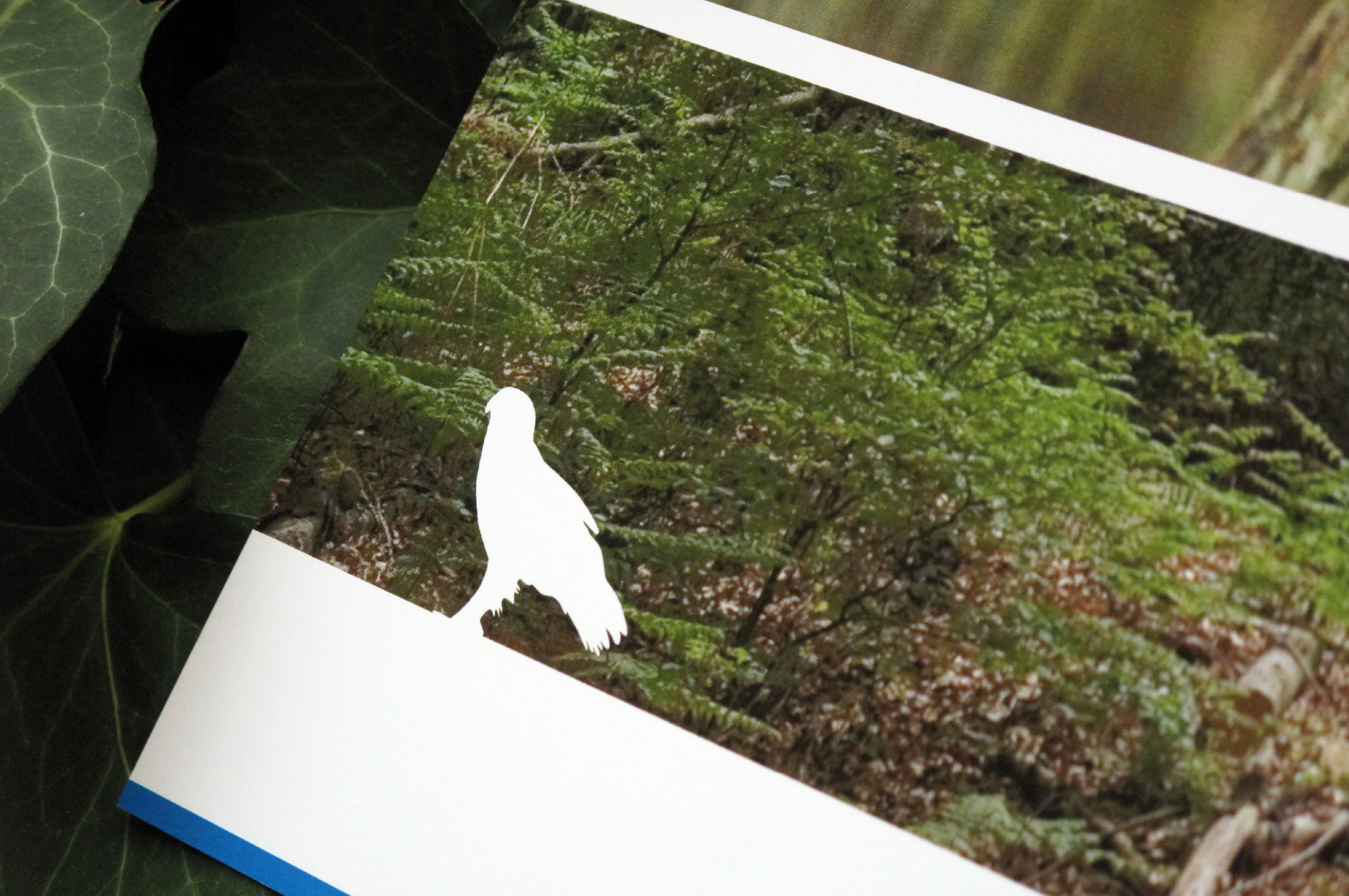 Annual report - back detail