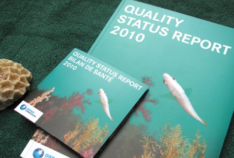 Quality Status Report 2010